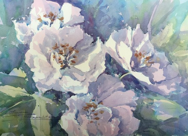 Dogwood